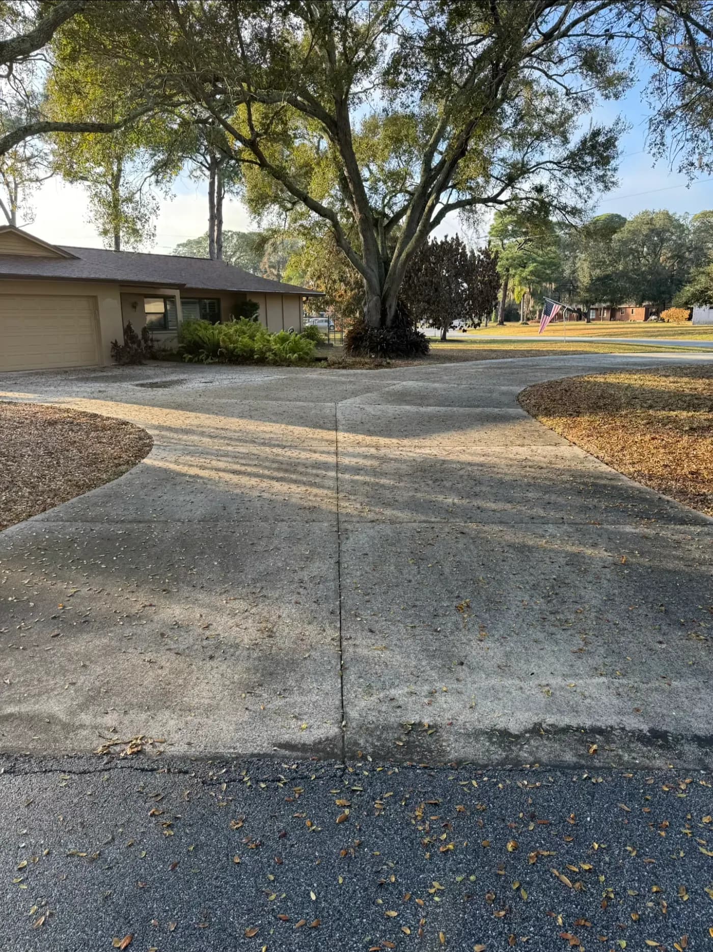 Driveway Cleaning — before cleaning